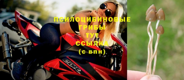 винт Лабытнанги