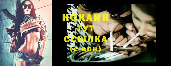 винт Лабытнанги