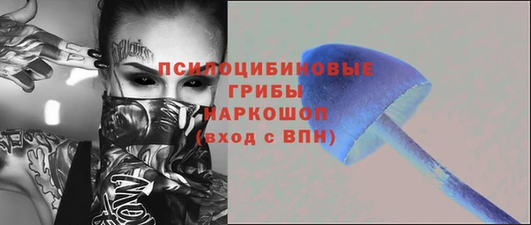 spice Ладушкин