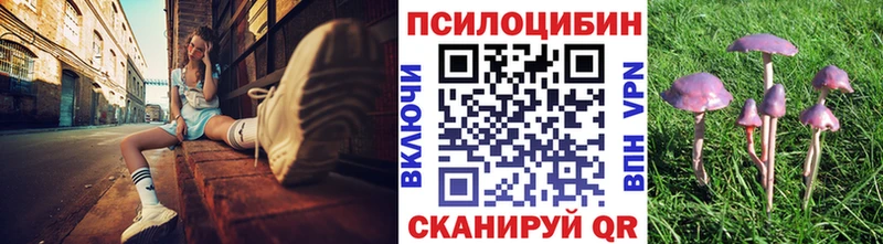 Купить где  Армянск  Галлюциногенные грибы GOLDEN TEACHER 